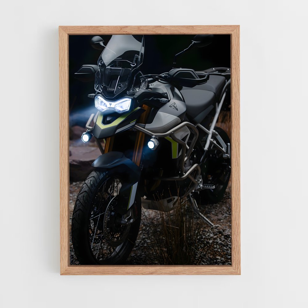 Poster Félin Éblouissant 900 – affiche Triumph (vue 4)